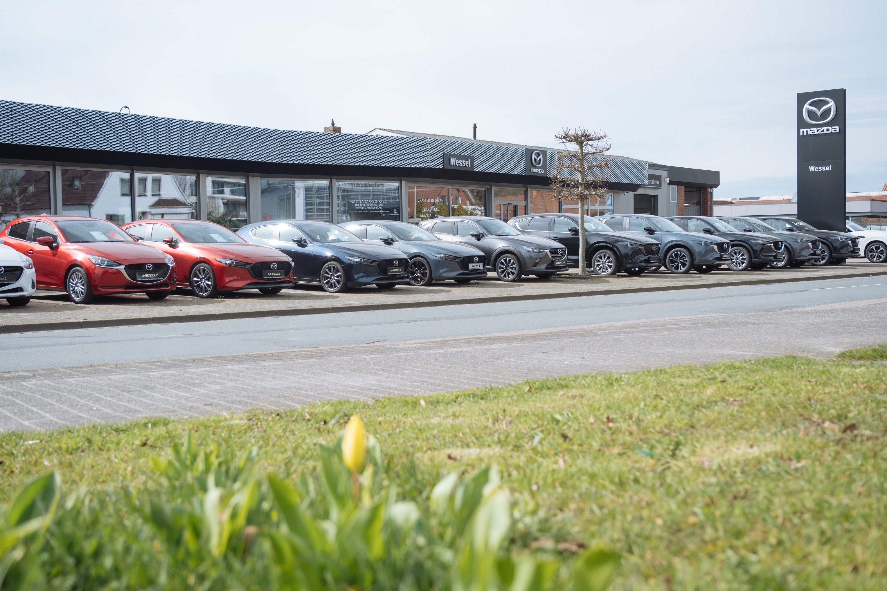 Faszinierend Autohaus Wessel Damme Bild